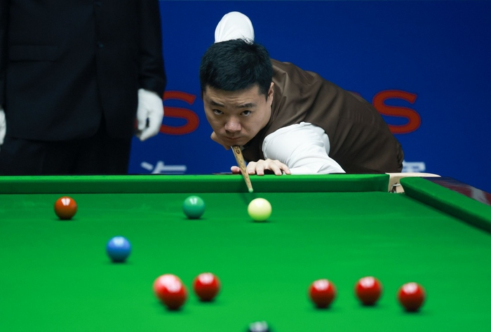 社会参与 社会参与